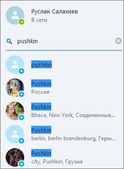 Список контактов в Skype 