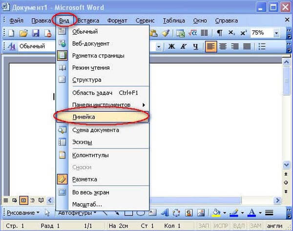 Меню Вид в Microsoft Word 2003