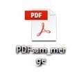 Объединенный PDF